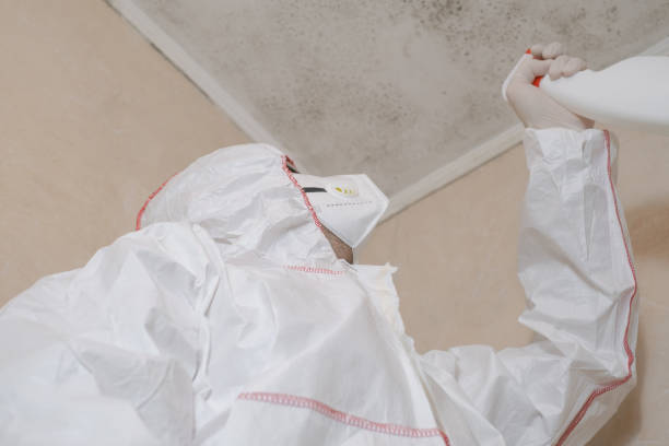 Best Residential Mold Remediation in Garyville, LA